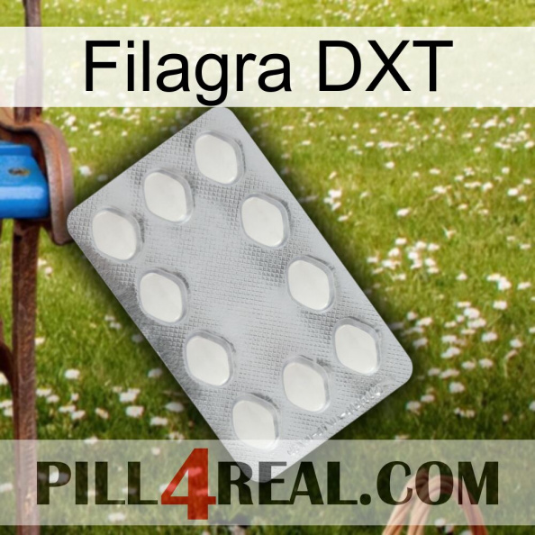 Filagra DXT 16.jpg